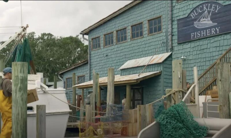 Fishy Fishy Café I Know What You Did Last Summer