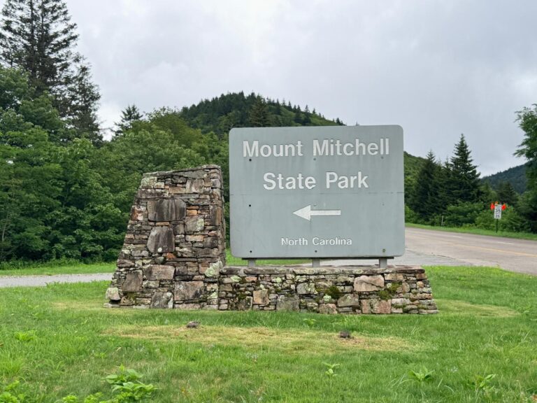Mount Mitchell State Park NC: Complete Family Guide (2026)