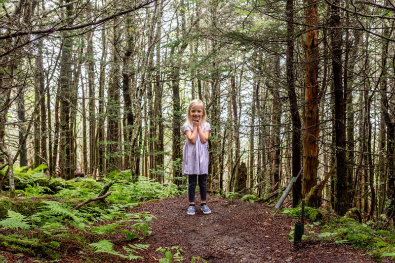 mt mitchell state park