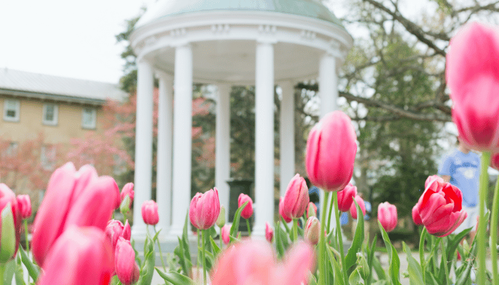 Chapel Hill