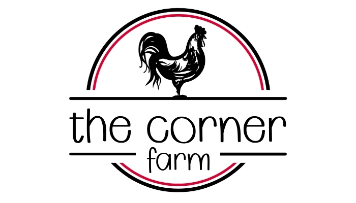 Corner Farm Back to School Block Party