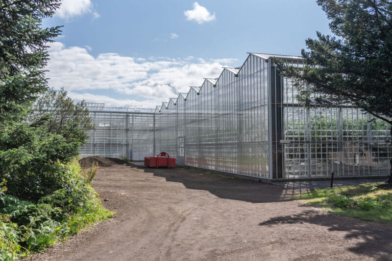 Friðheimar Tomato Farm Restaurant