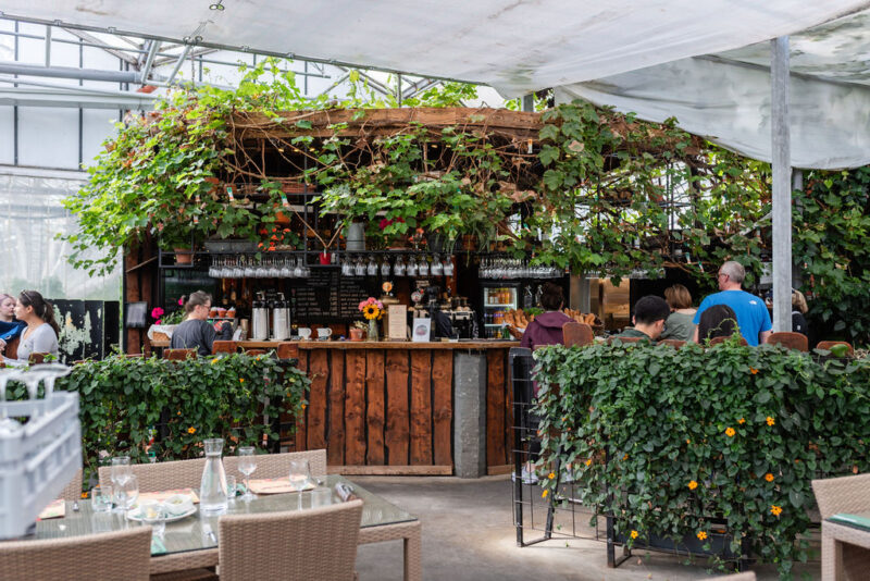 Friðheimar Tomato Farm Restaurant