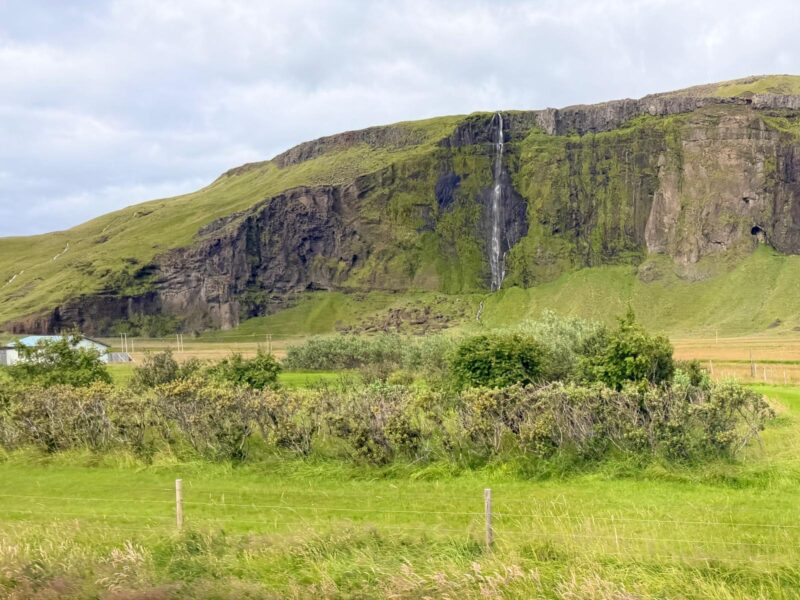 Drífandi Waterfall in the summer