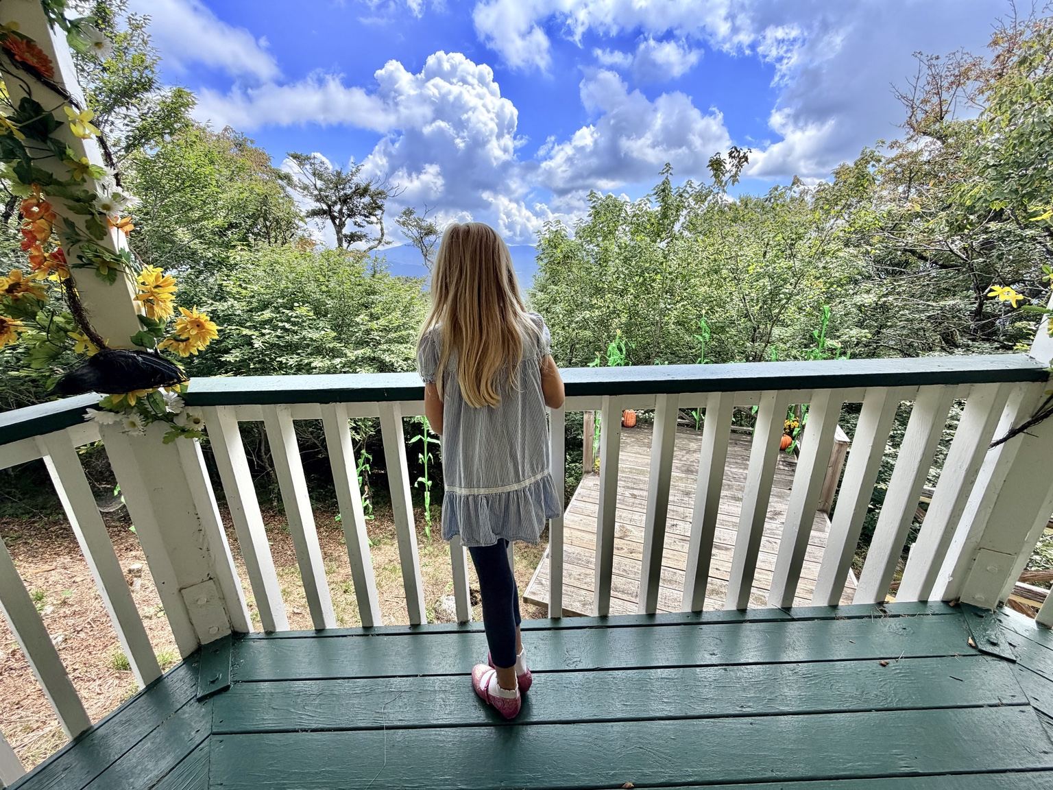 Scenic Overlook at Land of Oz in Beech Mountain, NC