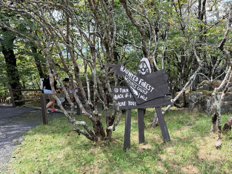 Haunted Forest at Land of Oz in Beech Mountain, NC