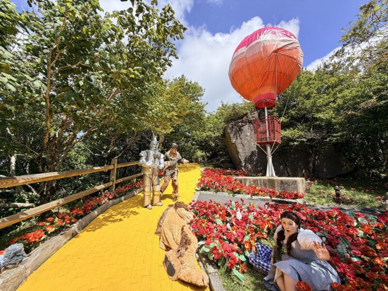 Poppy Field at Land of Oz in Beech Mountain, NC