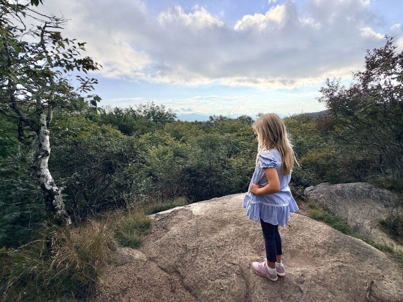 Roan Mountain Overlook