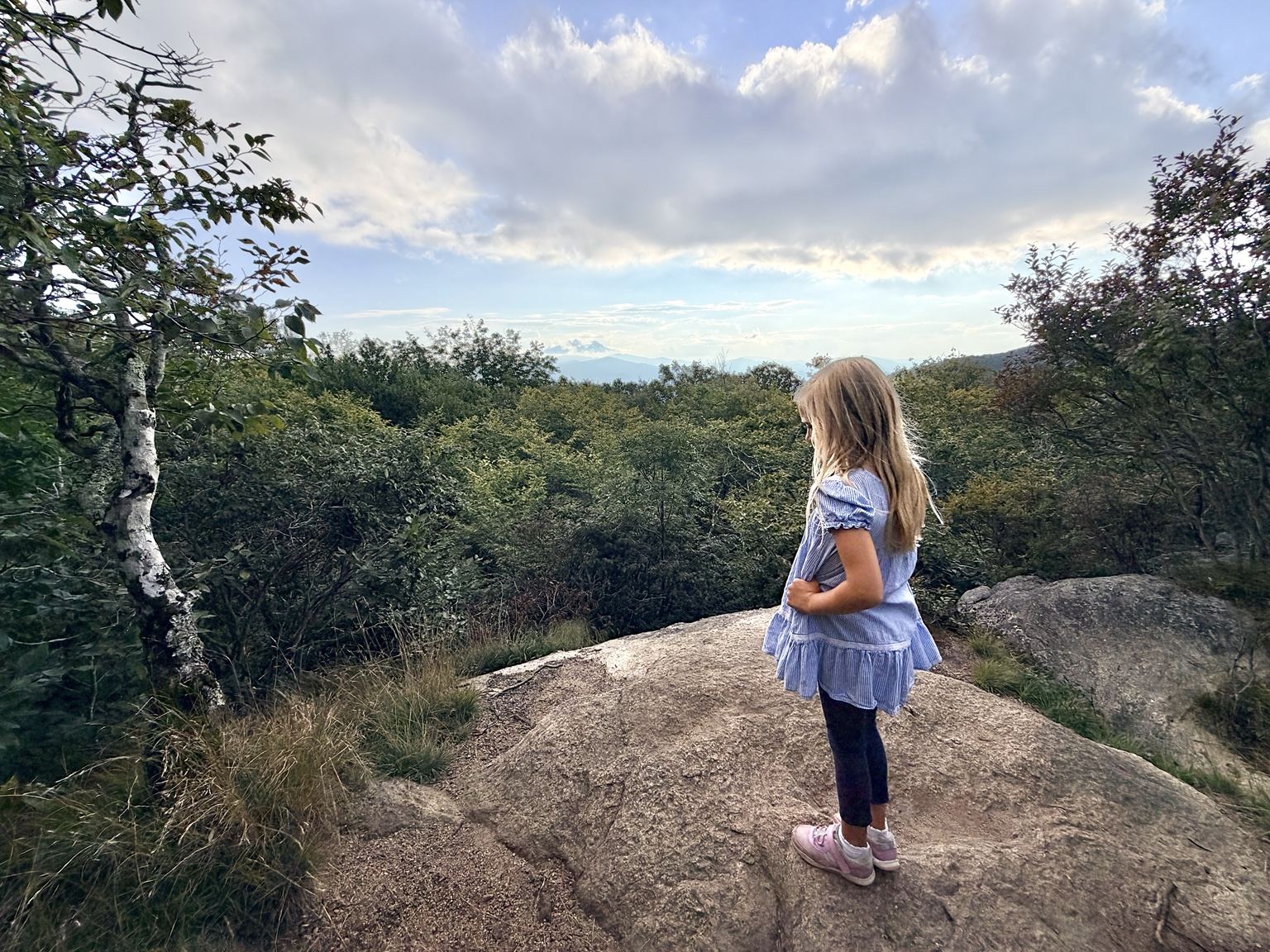 Roan Mountain Overlook