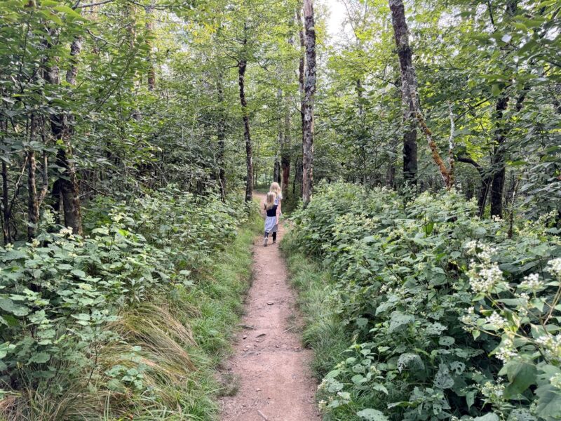 Oz Run Trail