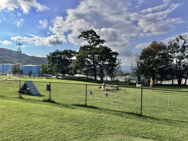 Bark Park Beech Mountain Dog Park