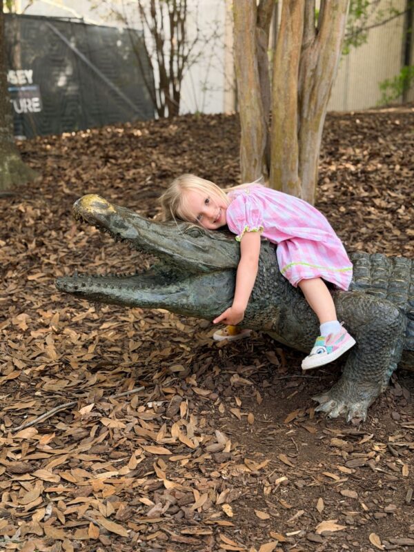 Kiwanisaurus Treehouse Adventure - Science Center