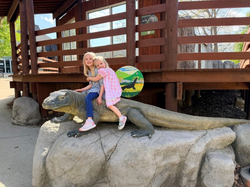 Kiwanisaurus Treehouse Adventure - Science Center