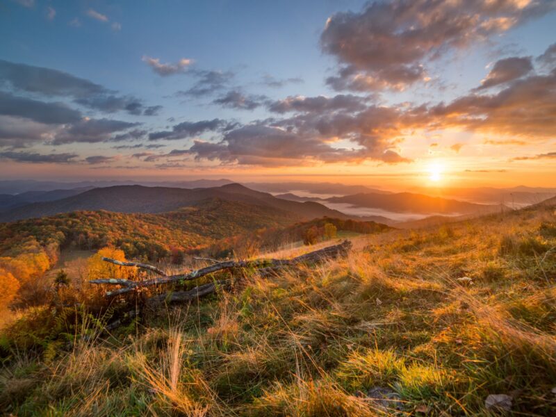 Maggie valley, NC