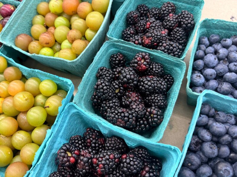 Piedmont Triad Farmers Market fruits and vegetables