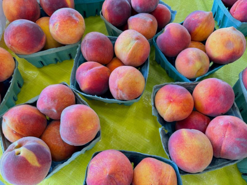 Piedmont Triad Farmers Market fruits and vegetables