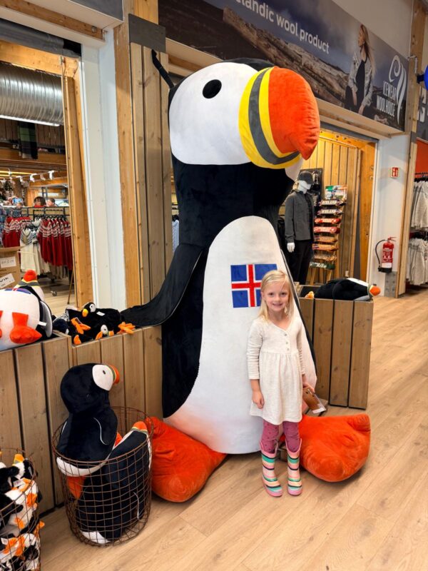 Vik Iceland family trip