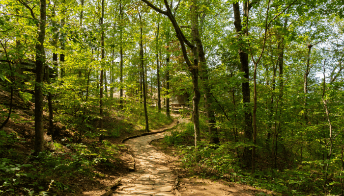 Family Friendly Hiking Trails