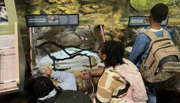 The Experiential School of Greensboro