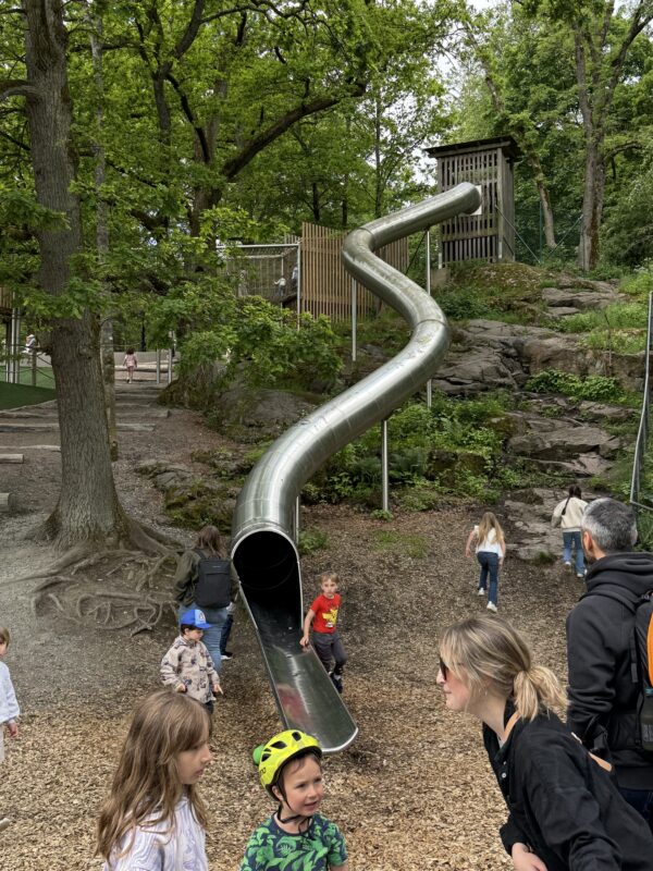 Slide at Plikta Slottsskogen