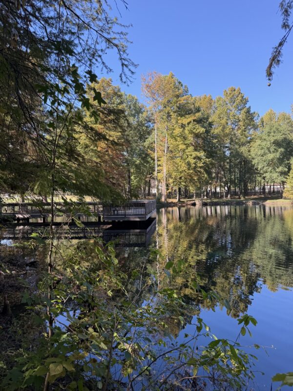Keeley Park Greensboro
