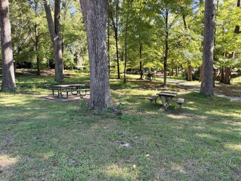 Fisher park Greensboro NC trees