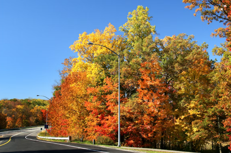 Mount Airy in the fall