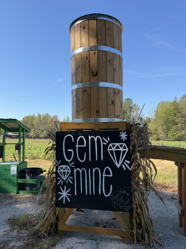 Armstrong Artisan Farm: A Family-Friendly Fall Day Near Greensboro