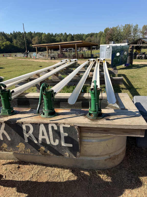 Armstrong Artisan Farm: A Family-Friendly Fall Day Near Greensboro