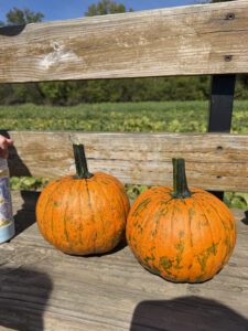 Armstrong Artisan Farm: A Family-Friendly Fall Day Near Greensboro
