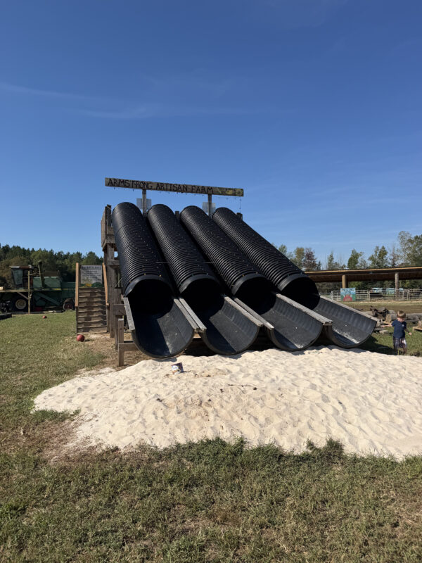Armstrong Artisan Farm: A Family-Friendly Fall Day Near Greensboro